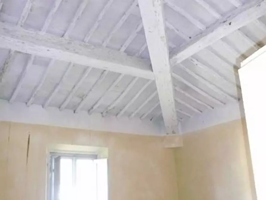 Immagine 17 di Rustico / casale in vendita  a Calci