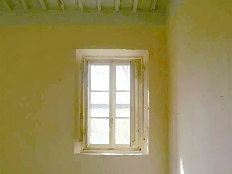 Immagine 3 di Rustico / casale in vendita  a Calci