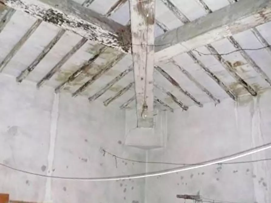 Immagine 13 di Rustico / casale in vendita  a Calci