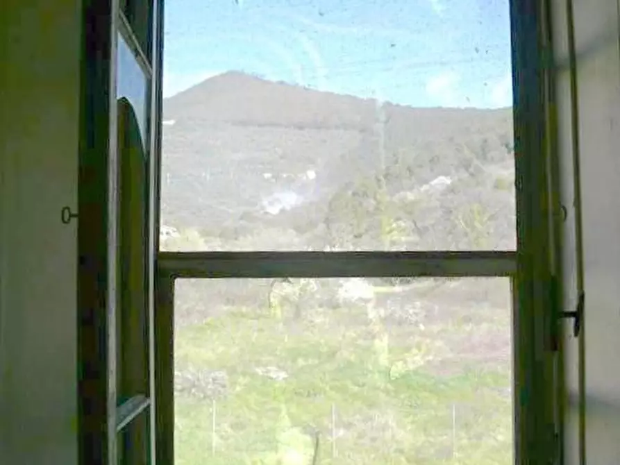 Immagine 9 di Rustico / casale in vendita  a Calci