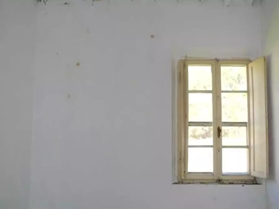 Immagine 10 di Rustico / casale in vendita  a Calci