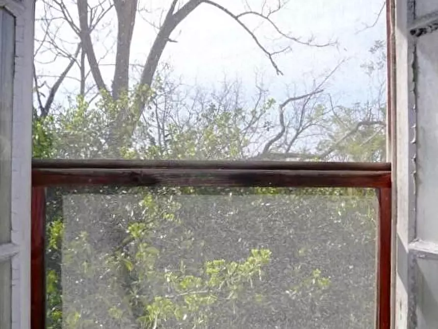 Immagine 11 di Rustico / casale in vendita  a Calci