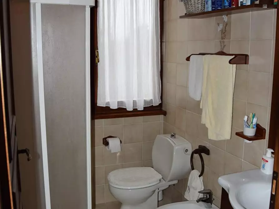 Immagine 8 di Villa in affitto  a Forte Dei Marmi