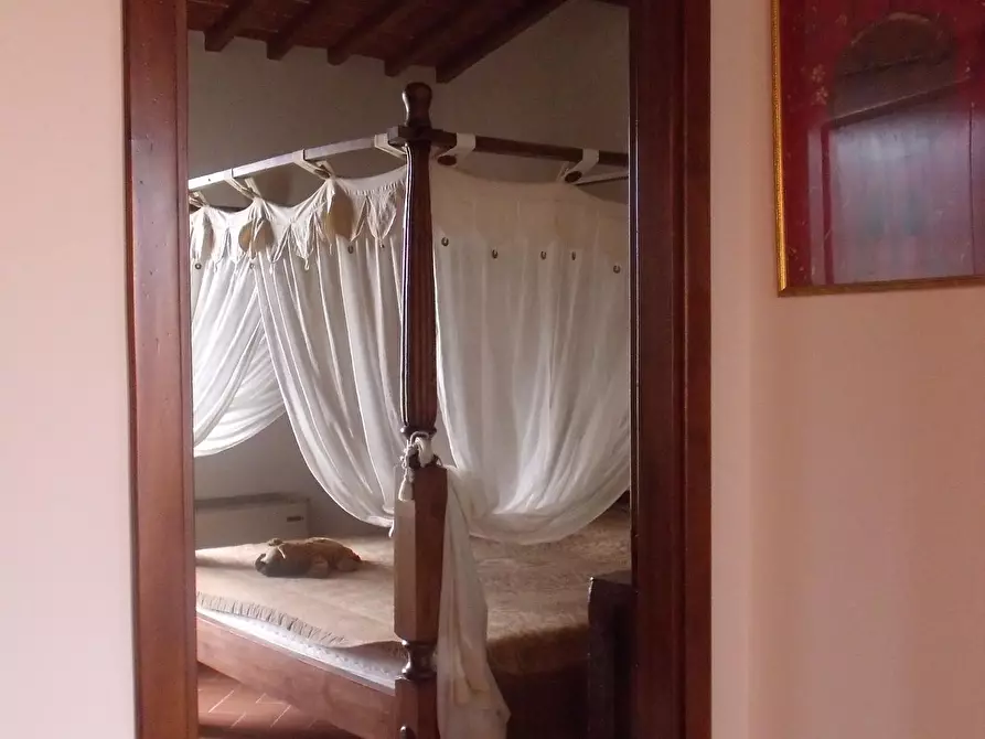 Immagine 6 di Casa colonica in vendita  a Montespertoli