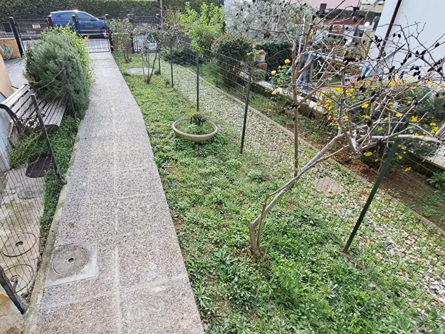 Immagine 3 di Appartamento in vendita  a Rosignano Marittimo