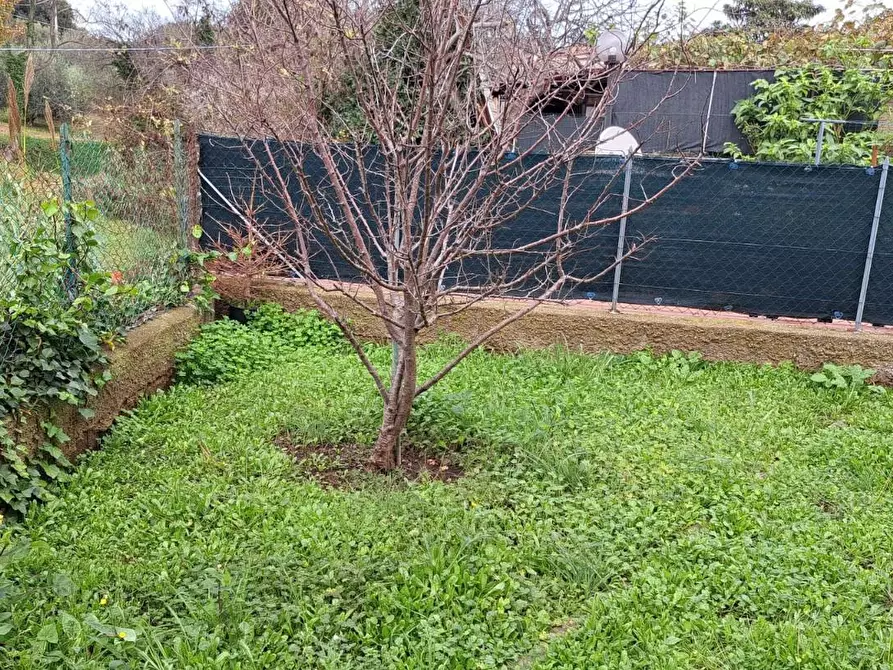 Immagine 2 di Appartamento in vendita  a Rosignano Marittimo