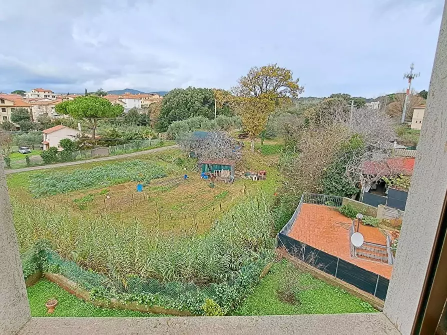 Immagine 16 di Appartamento in vendita  a Rosignano Marittimo