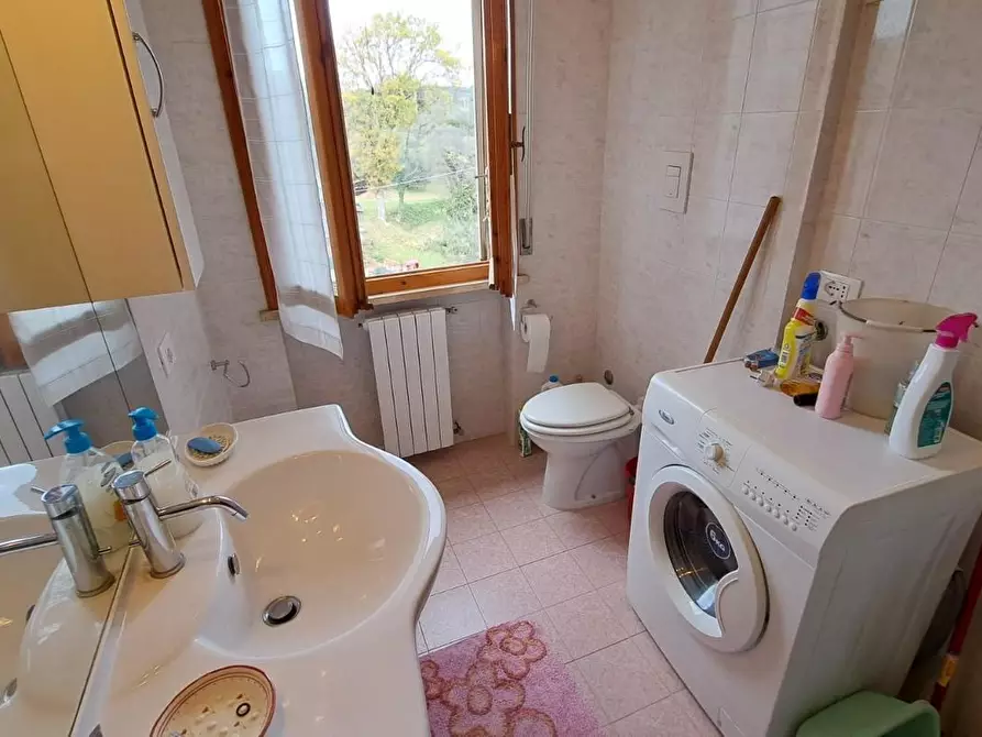 Immagine 15 di Appartamento in vendita  a Rosignano Marittimo