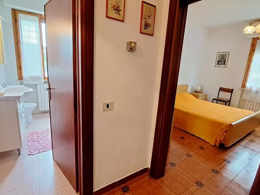 Immagine 12 di Appartamento in vendita  a Rosignano Marittimo