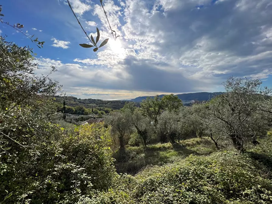 Immagine 16 di Rustico / casale in vendita  a Fosdinovo