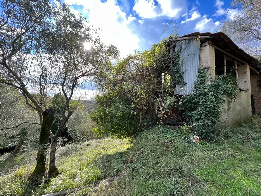 Immagine 5 di Rustico / casale in vendita  a Fosdinovo