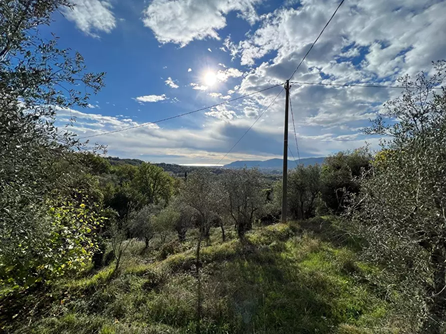 Immagine 17 di Rustico / casale in vendita  a Fosdinovo
