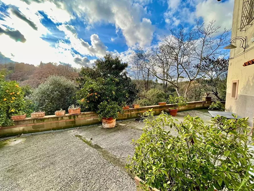 Immagine 25 di Rustico / casale in vendita  a Pontedera