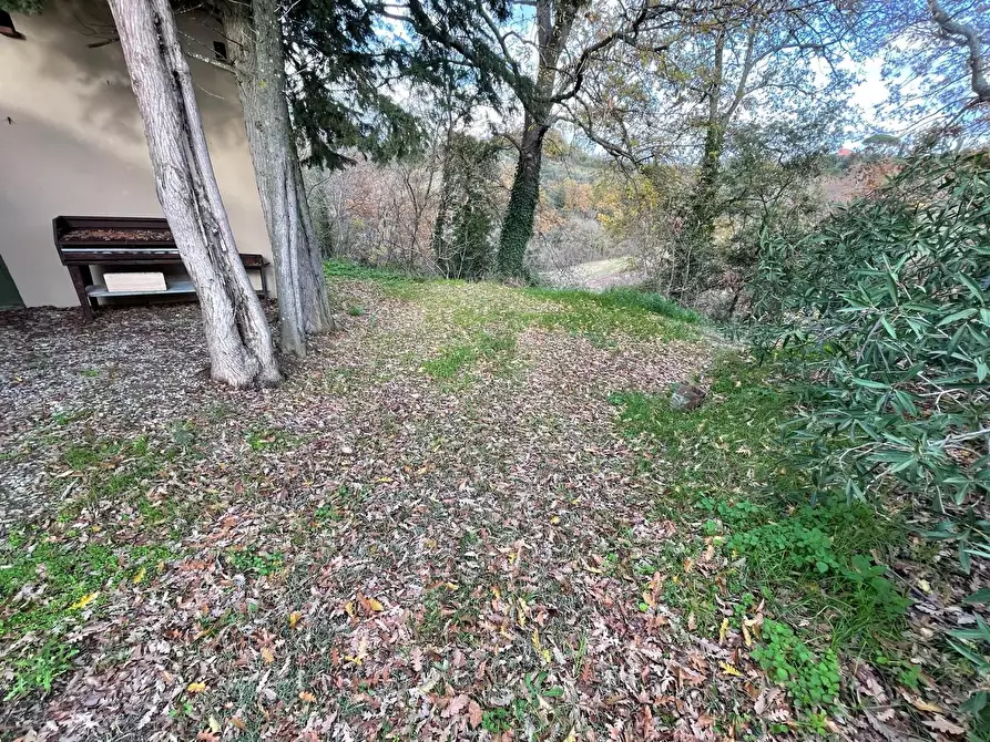 Immagine 78 di Rustico / casale in vendita  a Pontedera