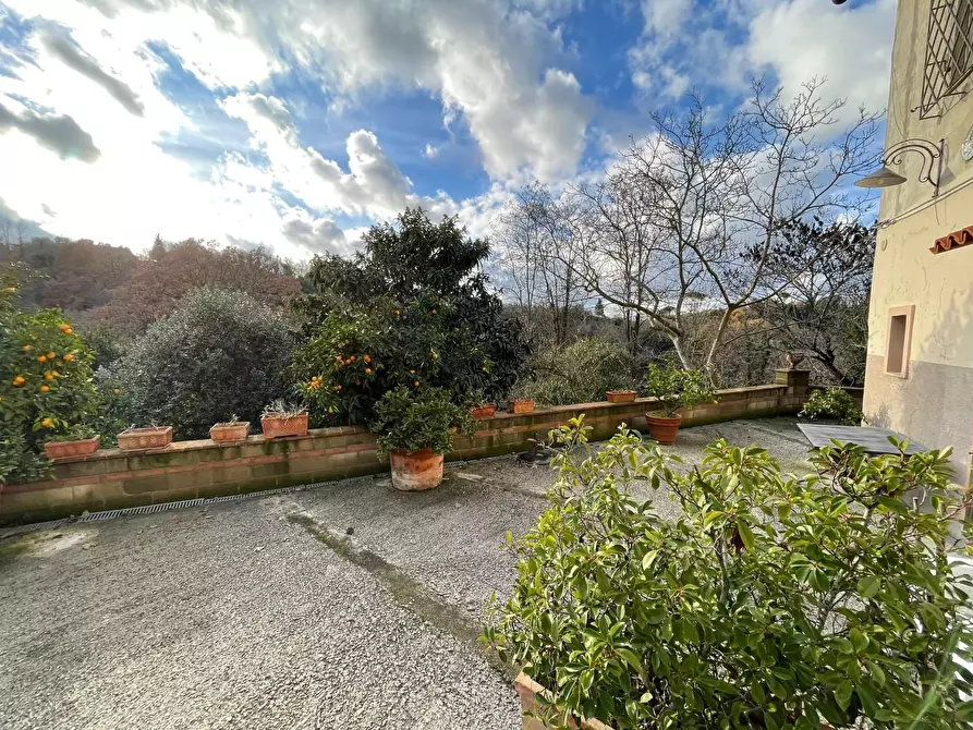 Immagine 76 di Rustico / casale in vendita  a Pontedera