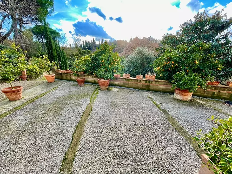 Immagine 30 di Rustico / casale in vendita  a Pontedera