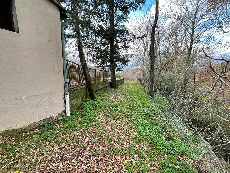 Immagine 39 di Rustico / casale in vendita  a Pontedera