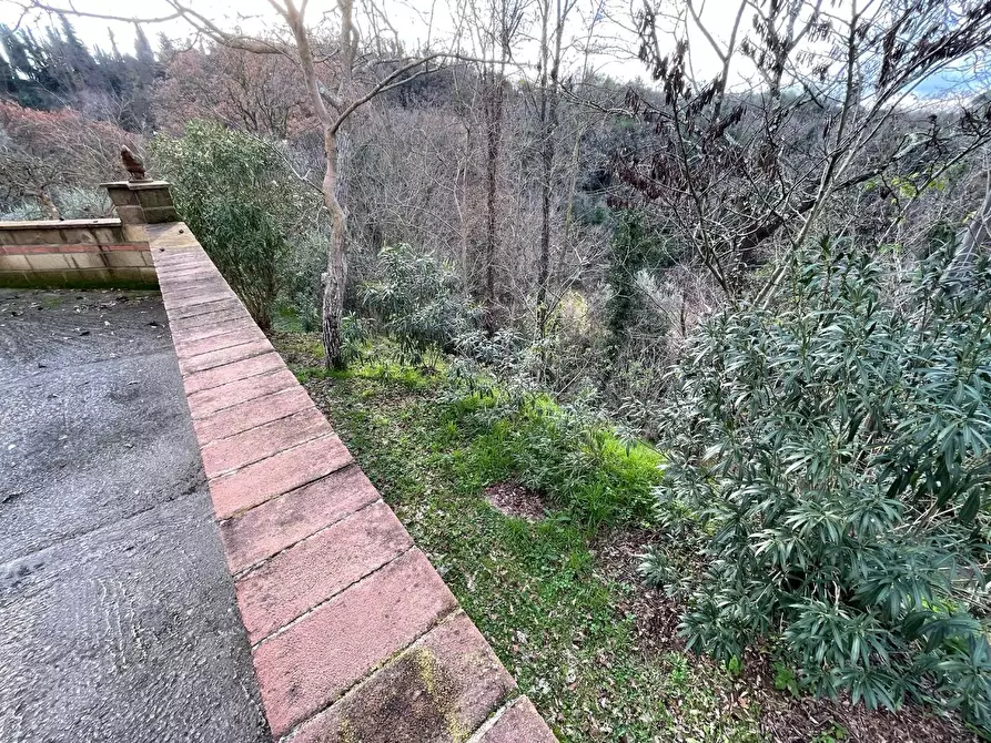 Immagine 67 di Rustico / casale in vendita  a Pontedera