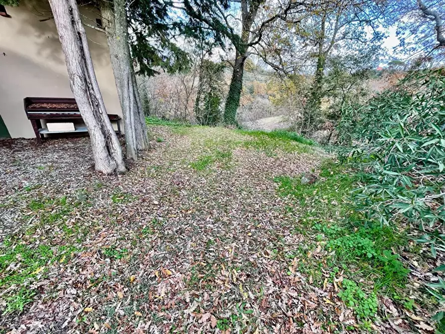 Immagine 27 di Rustico / casale in vendita  a Pontedera