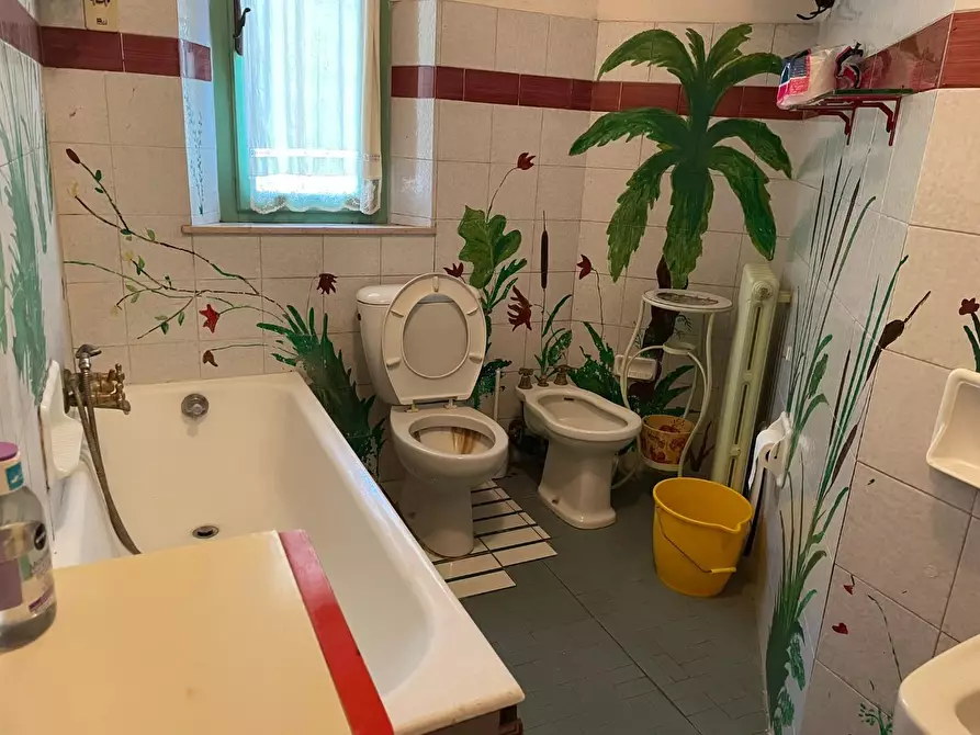 Immagine 66 di Rustico / casale in vendita  a Pontedera