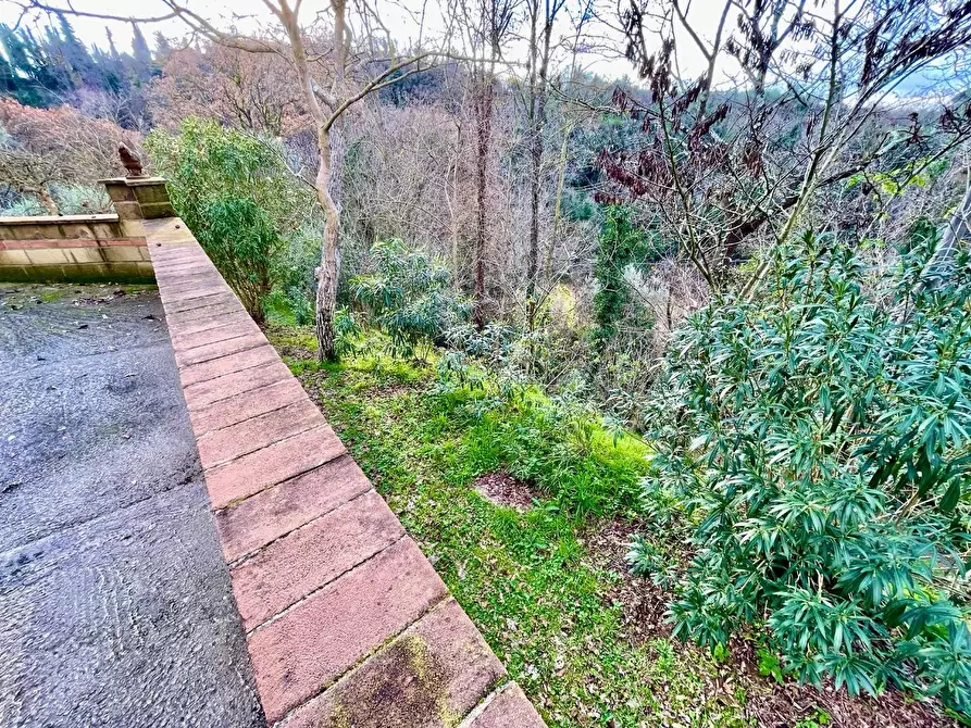 Immagine 21 di Rustico / casale in vendita  a Pontedera