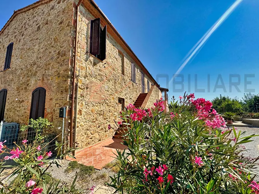 Immagine 14 di Appartamento in vendita  a Campiglia Marittima