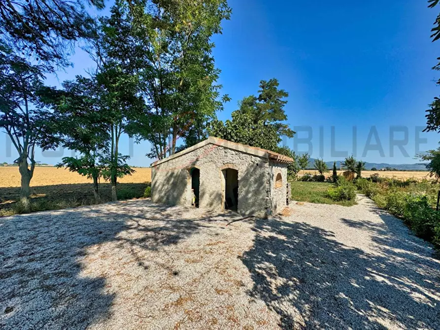 Immagine 11 di Appartamento in vendita  a Campiglia Marittima