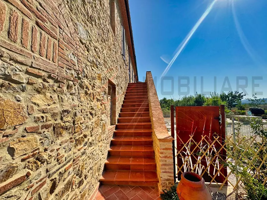 Immagine 15 di Appartamento in vendita  a Campiglia Marittima