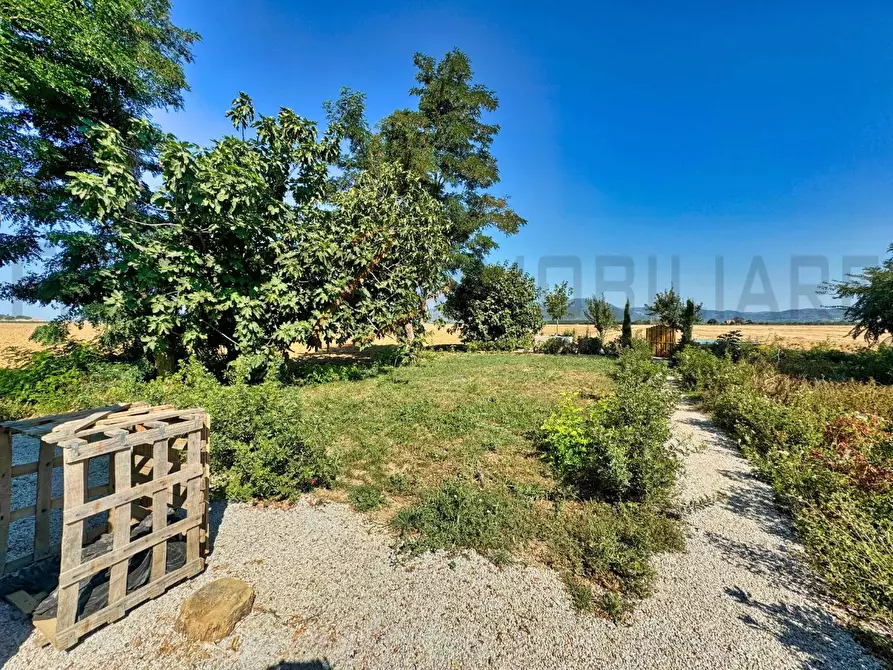 Immagine 12 di Appartamento in vendita  a Campiglia Marittima