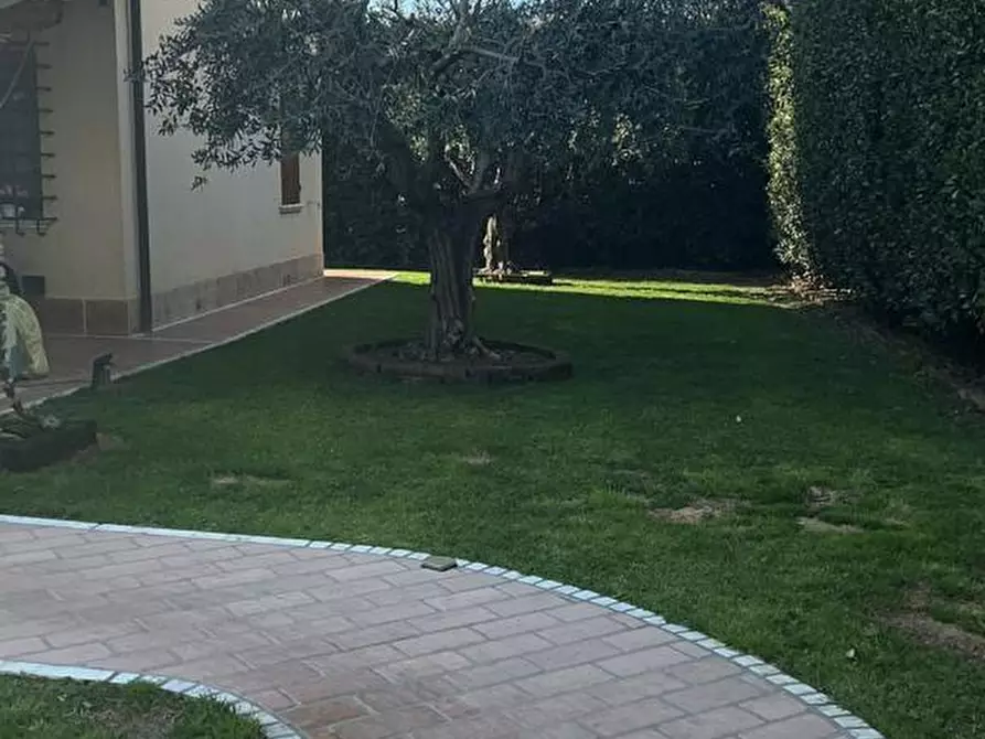 Immagine 11 di Villa in vendita  a Montignoso