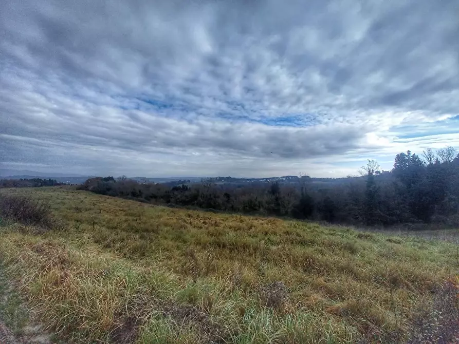 Immagine 14 di Casa colonica in vendita  a San Miniato