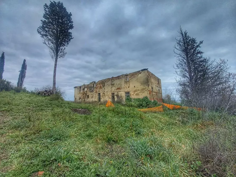 Immagine 1 di Casa colonica in vendita  a San Miniato