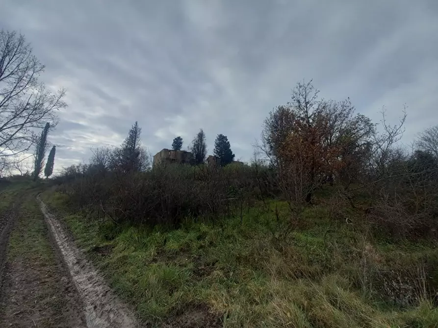 Immagine 12 di Casa colonica in vendita  a San Miniato