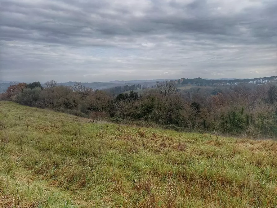 Immagine 13 di Casa colonica in vendita  a San Miniato