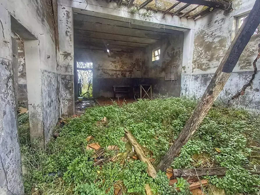 Immagine 9 di Casa colonica in vendita  a San Miniato