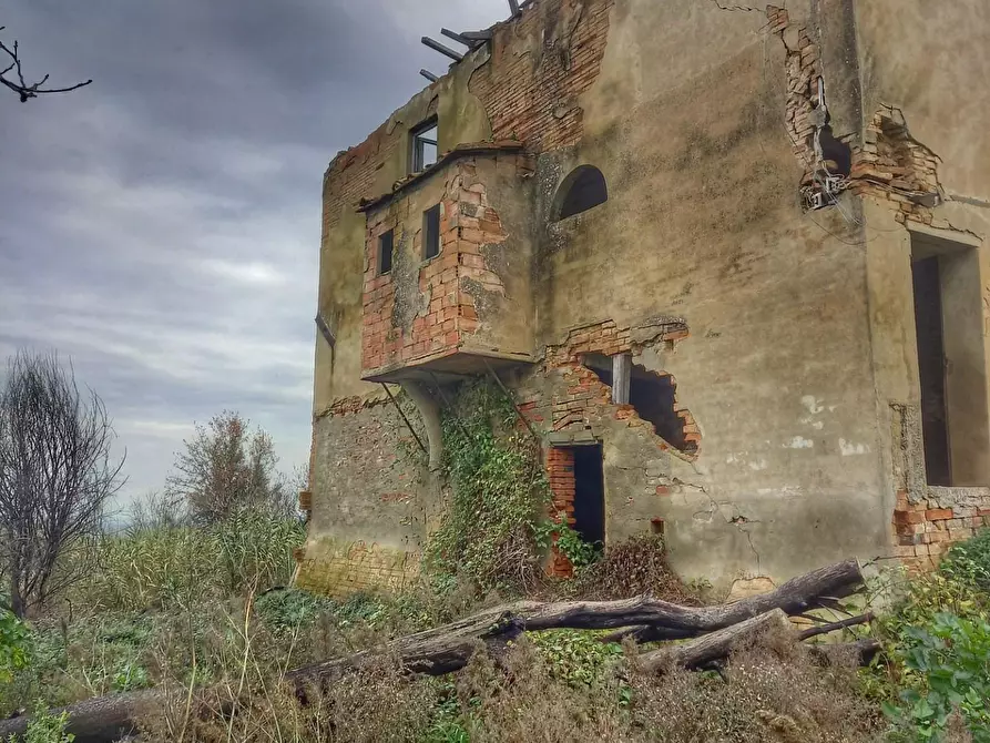 Immagine 6 di Casa colonica in vendita  a San Miniato