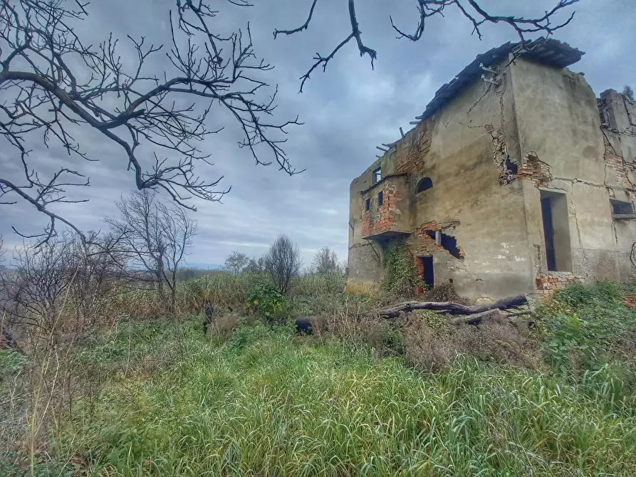 Immagine 7 di Casa colonica in vendita  a San Miniato