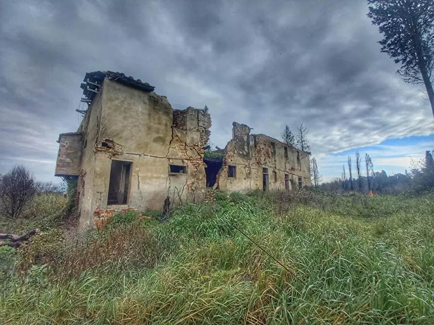 Immagine 3 di Casa colonica in vendita  a San Miniato