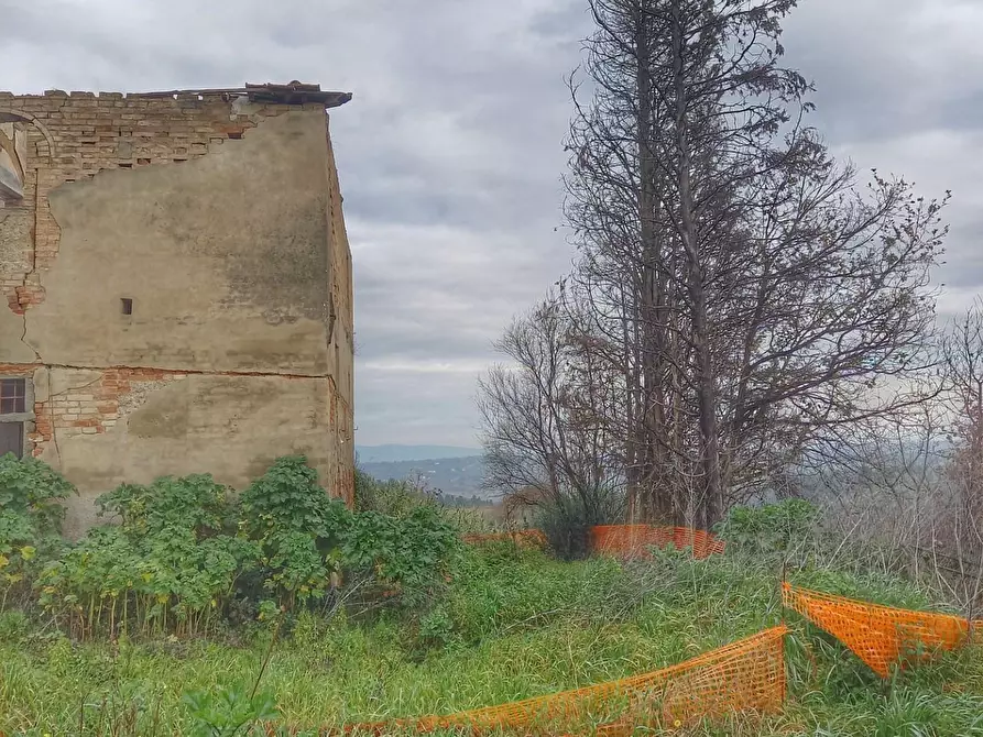 Immagine 8 di Casa colonica in vendita  a San Miniato