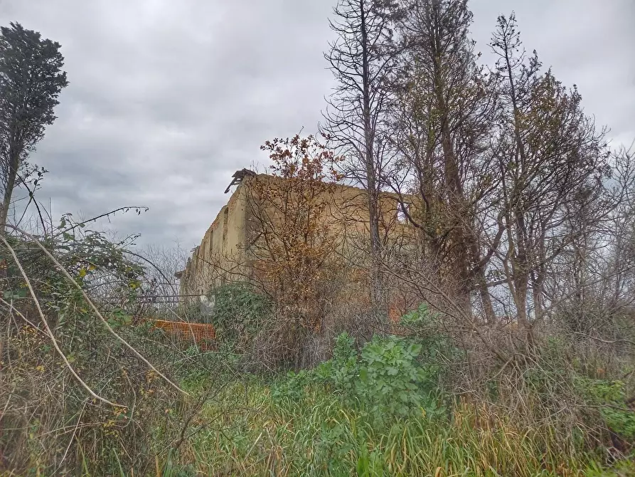 Immagine 10 di Casa colonica in vendita  a San Miniato