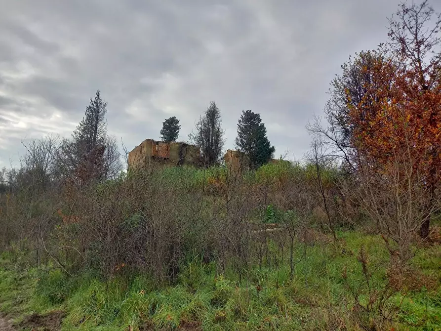 Immagine 11 di Casa colonica in vendita  a San Miniato