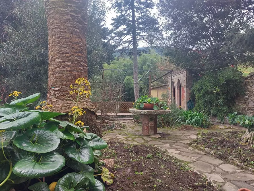 Immagine 9 di Immobile di prestigio in vendita  a Buti