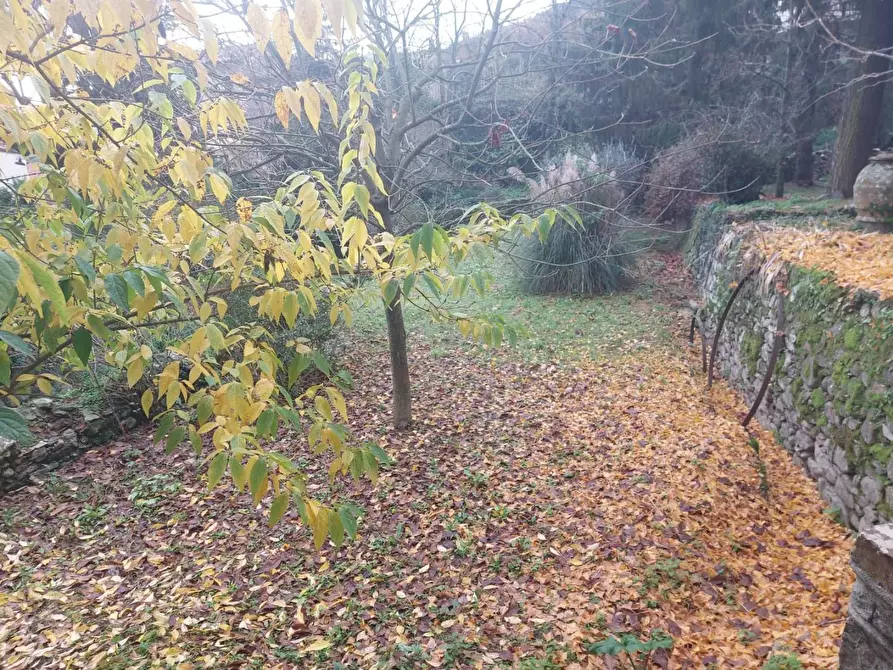 Immagine 2 di Immobile di prestigio in vendita  a Buti