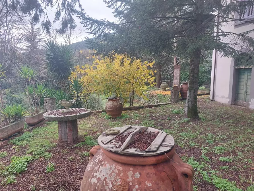 Immagine 5 di Immobile di prestigio in vendita  a Buti