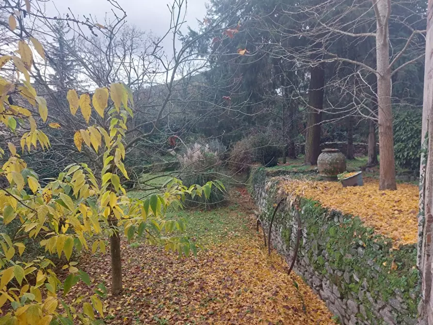 Immagine 3 di Immobile di prestigio in vendita  a Buti