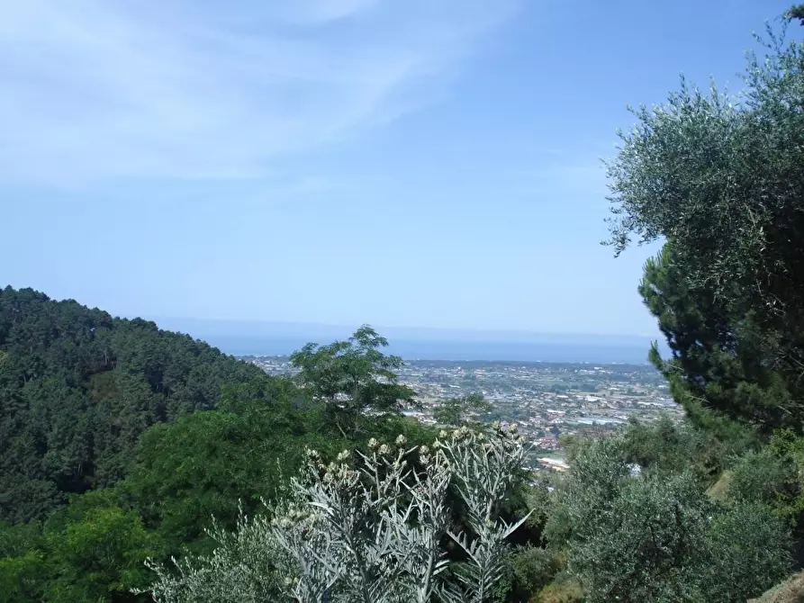 Immagine 1 di Villa in vendita  a Camaiore