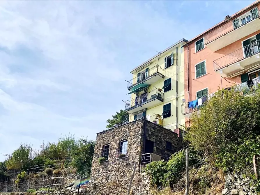 Immagine 8 di Appartamento in vendita  a Vernazza