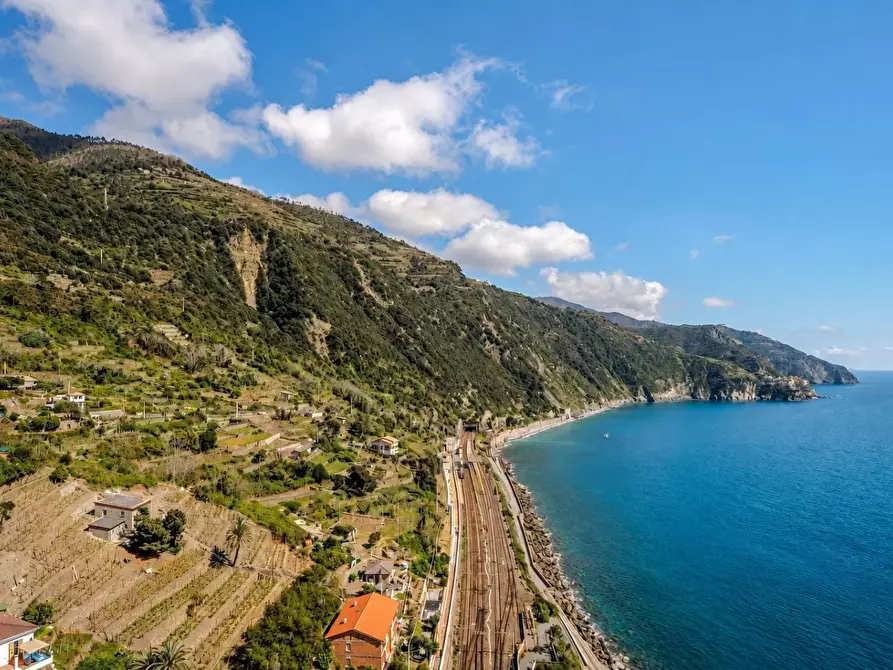 Immagine 2 di Appartamento in vendita  a Vernazza