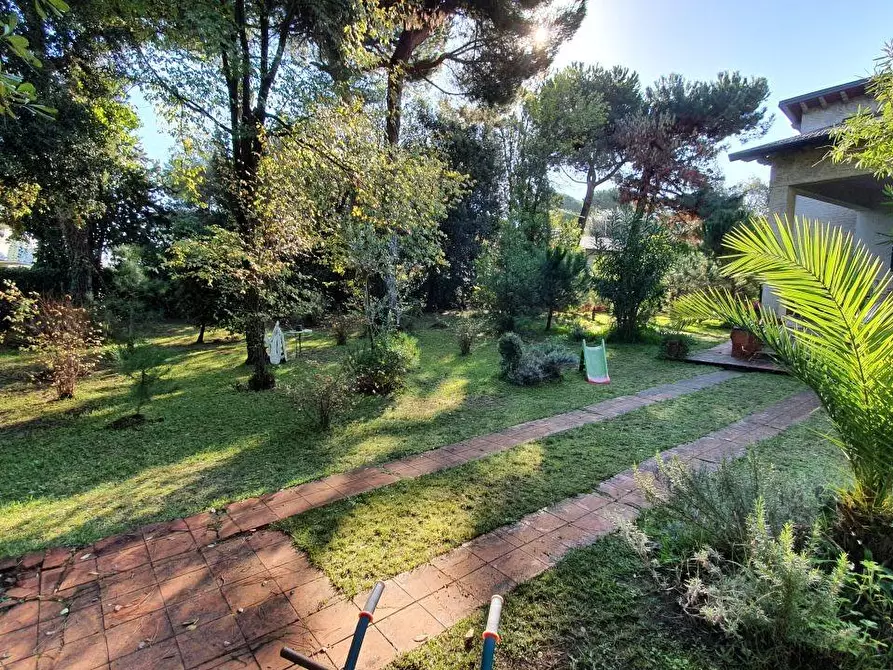 Immagine 5 di Villa in vendita  a Massa