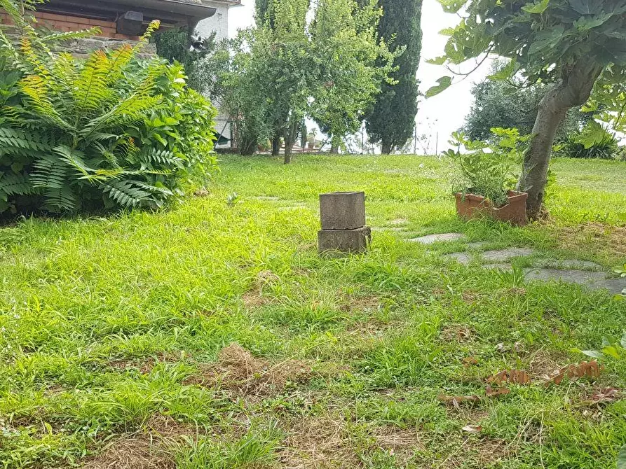 Immagine 26 di Villa in vendita  a Massa